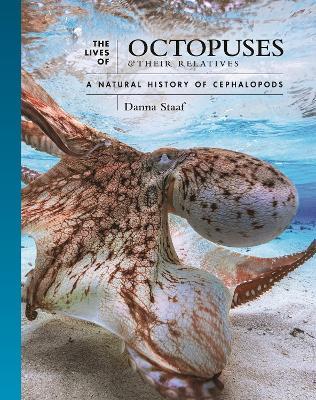 The Lives of Octopuses and Their Relatives: A Natural History of Cephalopods - Danna Staaf - cover