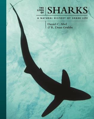 The Lives of Sharks: A Natural History of Shark Life - Daniel C. Abel,R. Dean Grubbs - cover