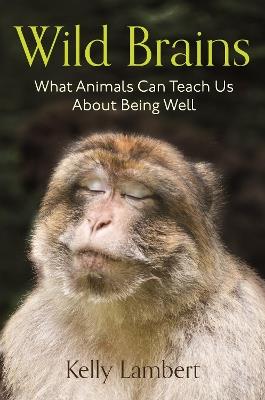 Wild Brains: What Animals Can Teach Us About Being Well - Kelly Lambert - cover