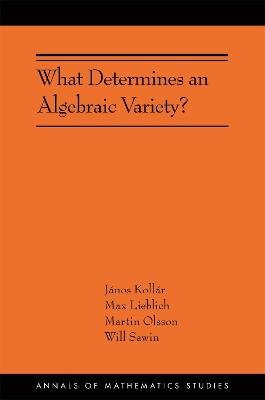 What Determines an Algebraic Variety?: (AMS-216) - Janos Kollar,Max Lieblich,Martin Olsson - cover