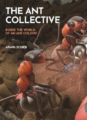 The Ant Collective: Inside the World of an Ant Colony - Armin Schieb - cover