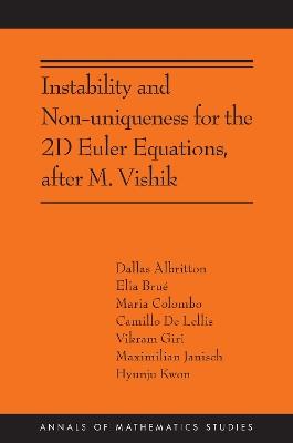 Instability and Non-uniqueness for the 2D Euler Equations, after M. Vishik: (AMS-219) - Camillo De Lellis,Elia Brué,Dallas Albritton - cover