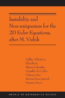 Instability and Non-uniqueness for the 2D Euler Equations, after M. Vishik: (AMS-219) - Camillo De Lellis,Elia Brué,Dallas Albritton - cover