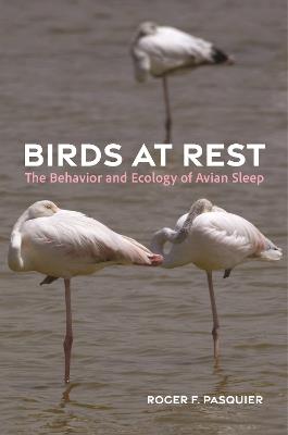 Birds at Rest: The Behavior and Ecology of Avian Sleep - Roger Pasquier - cover