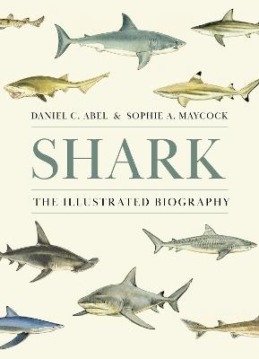 Shark: The Illustrated Biography - Daniel Abel,Sophie A. Maycock - cover