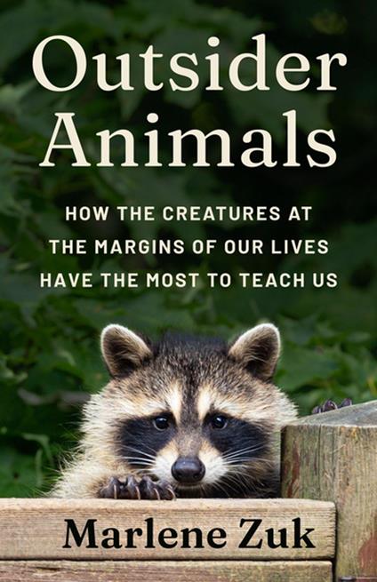 Outsider Animals