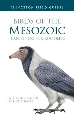 Birds of the Mesozoic - Juan Benito,Roc Olivé - cover
