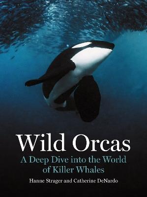 Wild Orcas: A Deep Dive into the World of Killer Whales - Hanne Strager,Catherine DeNardo - cover