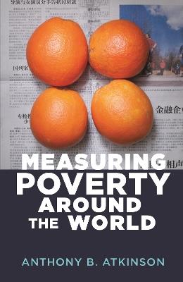 Measuring Poverty around the World - Anthony B. Atkinson - cover