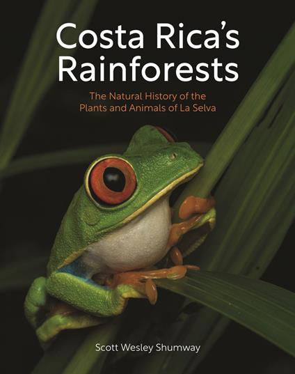 Costa Rica's Rainforests