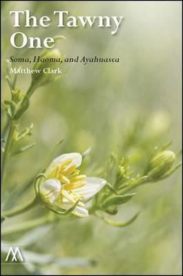 Bradley Walker Tomlin: A Retrospective - Douglas Dreishpoon,Elizabeth Dunbar,Sara J. Pasti - cover