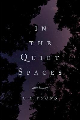 In the Quiet Spaces - C E Young - cover