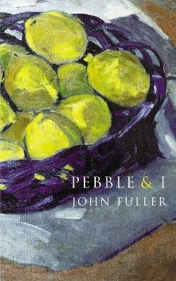 Pebble & I - John Fuller - cover
