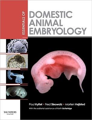 Essentials of Domestic Animal Embryology - Poul Hyttel,Fred Sinowatz,Morten Vejlsted - cover
