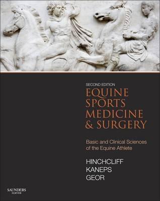 Equine Sports Medicine and Surgery: Basic and clinical sciences of the equine athlete - Kenneth W Hinchcliff,Andris J. Kaneps,Raymond J. Geor - cover