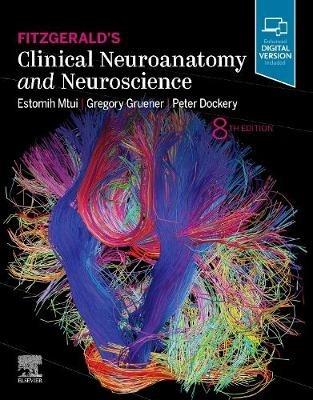 Fitzgerald's Clinical Neuroanatomy and Neuroscience - Estomih Mtui,Gregory Gruener,Peter Dockery - cover