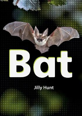 Bat (Set 02) - Jilly Hunt - cover