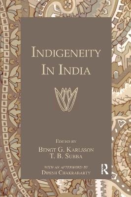 Indigeneity In India - cover