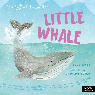 Little Whale: A Day in the Life of a Whale Calf - Anna Brett - cover