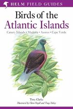 Field Guide to the Birds of the Atlantic Islands: Canary Islands, Madeira, Azores, Cape Verde