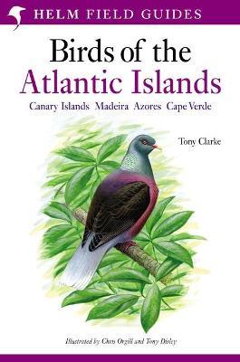 A Field Guide to the Birds of the Atlantic Islands: Canary Islands, Madeira, Azores, Cape Verde - Tony Clarke - cover