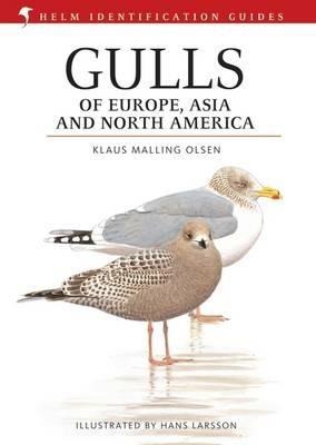 Gulls of Europe, Asia and North America - Klaus Malling Olsen - cover