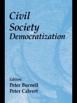 Civil Society in Democratization - cover