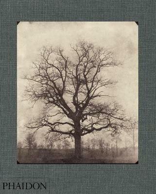 William Henry Fox Talbot. Ediz. inglese - Geoffrey Batchen - copertina