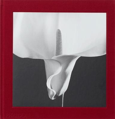 Robert Mapplethorpe. Flora. The complete flowers. Ediz. illustrata - copertina