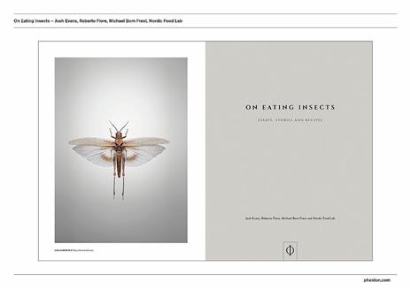 On eating insects. Essays, stories and recipes - Joshua David Evans,Roberto Flore,Michael Frost - 2