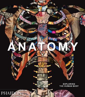 Anatomy: Exploring the Human Body - Phaidon Editors - cover