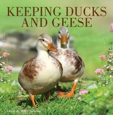 Keeping Ducks and Geese - Chris and Mike Ashton,Chris Ashton,Mike Ashton - cover