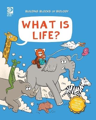 What is Life? - Jeff de la Rosa - cover