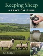 Keeping Sheep
