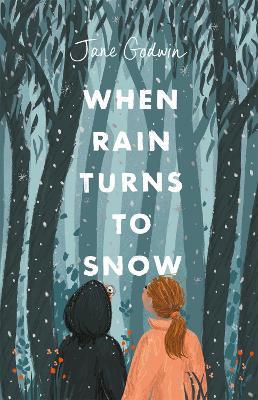When Rain Turns to Snow - Jane Godwin - cover