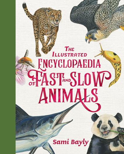 The Illustrated Encyclopaedia of Fast and Slow Animals - Sami Bayly - ebook