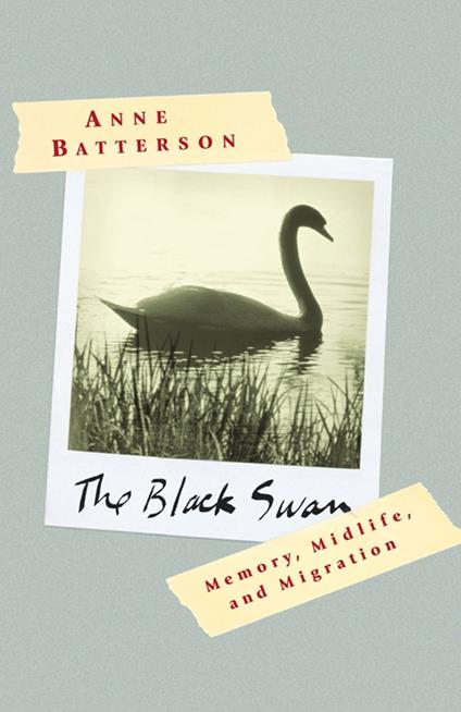 The Black Swan