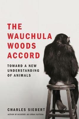 Wauchula Woods Accord - Charles Siebert - cover
