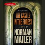 The Castle in the Forest