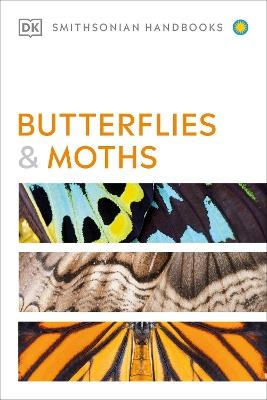 Butterflies and Moths - David Carter - cover