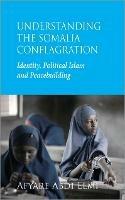 Understanding the Somalia Conflagration: Identity, Political Islam and Peacebuilding - Afyare Abdi Elmi - cover