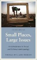 Small Places, Large Issues: An Introduction to Social and Cultural Anthropology - Thomas Hylland Eriksen - cover