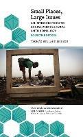Small Places, Large Issues: An Introduction to Social and Cultural Anthropology - Thomas Hylland Eriksen - cover