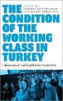 The Condition of the Working Class in Turkey: Labour under Neoliberal Authoritarianism - cover