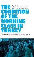 The Condition of the Working Class in Turkey: Labour under Neoliberal Authoritarianism - cover