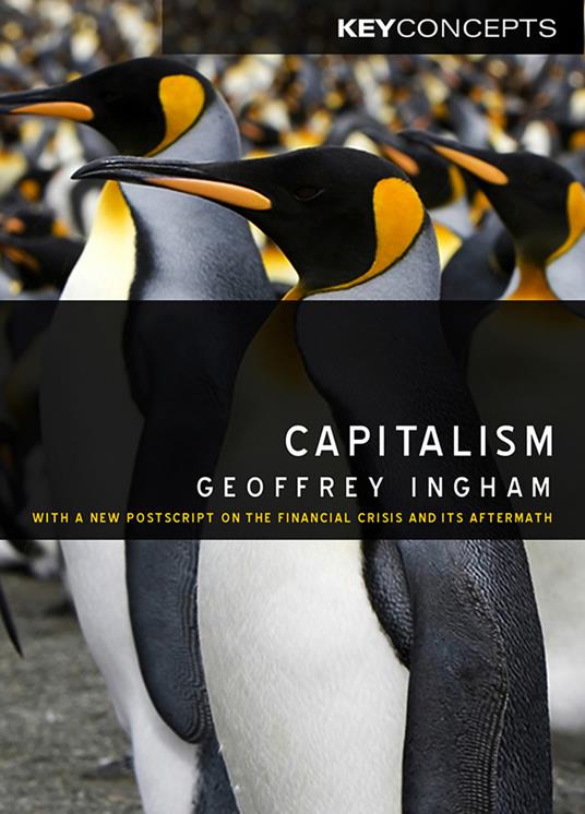Capitalism: With a New Postscript on the Financial Crisis and Its Aftermath - Geoffrey Ingham - cover