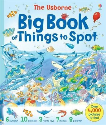 Big Book of Things to Spot - Gillian Doherty,Ruth Brocklehurst,Anna Milbourne - cover