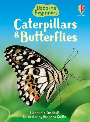 Caterpillars and Butterflies - Stephanie Turnbull - cover