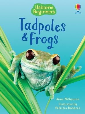 Tadpoles and Frogs - Anna Milbourne - cover