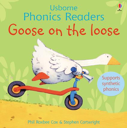 Goose on the loose. Ediz. a colori - Phil Roxbee Cox - copertina